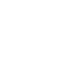 WG - Phoenix OneCase